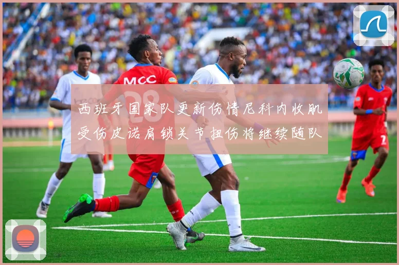 西班牙国家队更新伤情尼科内收肌受伤皮诺肩锁关节扭伤将继续随队训练