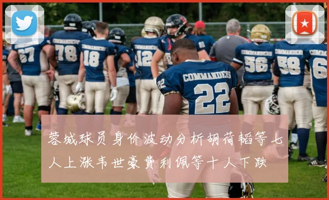 蓉城球员身价波动分析胡荷韬等七人上涨韦世豪费利佩等十人下跌
